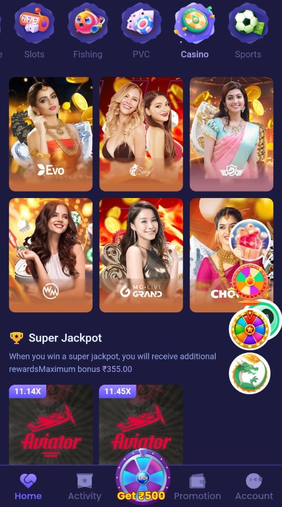 ShreeWin Live Casino tables including Evolution and Sexy Gaming